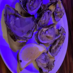 Oystera