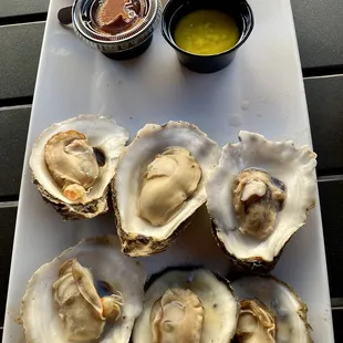 oysters and mussels, mussels, food, shellfish, oysters