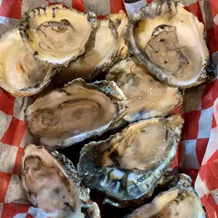 Raw Oysters
