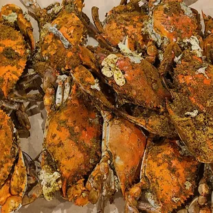 Dozen of Large ($95/ Dozen)