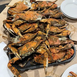 food, oysters and mussels