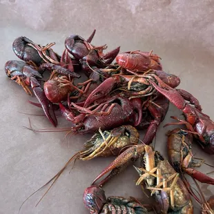 Crawfish