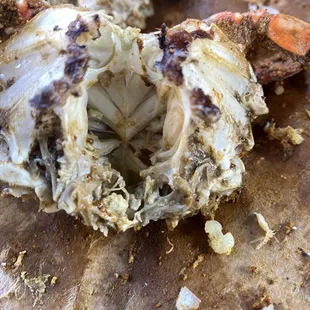 a close up of a crab