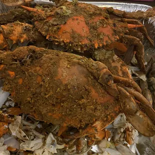 a close up of a crab