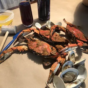 a crab and clams