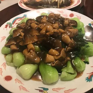 noodle dish, noodle soup, ramen, ramen and noodles, food, noodles
