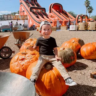 Big Pumpkin at centennial patch