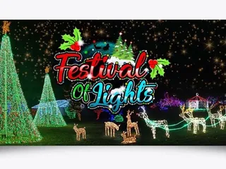 Vegas Festival Of Lights