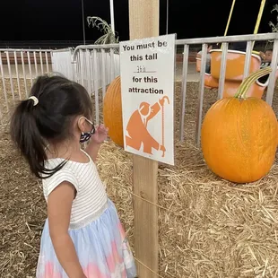 Pumpkin patch season
