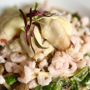 Bay Shrimp Stuffed Halibut