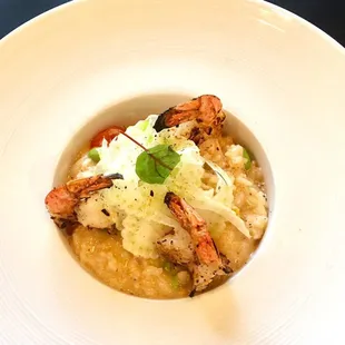 Shrimp Risotto
