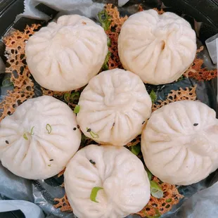 Pan fried bao