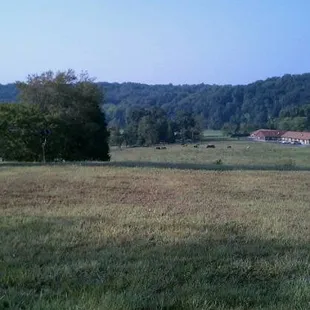 The view from every room.