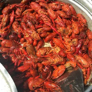 Louisiana Boiled Crawfish