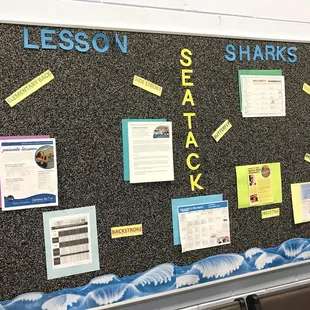 Swim board