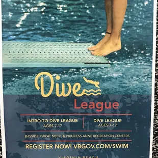 Dive league