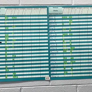 Swim chart for Sea-Tac Rec league