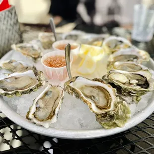 Oysters, 10/10!