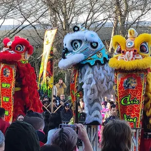 Lion Dance for Tet