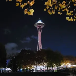 Stunning night with fall leaves