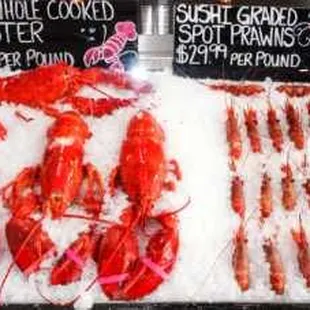 Fresh cooked Lobster and British Columbia Spot Prawns.