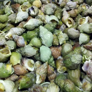 Whelks, good for soup...