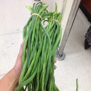 Sweet Chinese long bean victory is mine! $1.99 lb