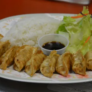 Gyoza Plate