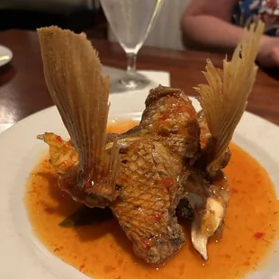 Snapper Wings