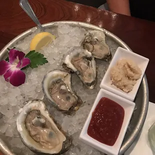 Raw Oysters