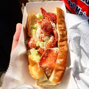 a hand holding a sandwich