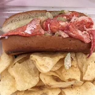 Very small lobster roll and chips. For 10 bucks.