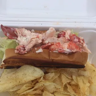 Maine lobster roll