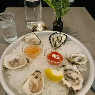 Oysters