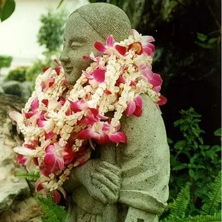 Beth S.