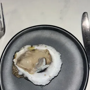 Raw Oysters