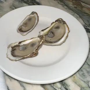 East Coast Oysters