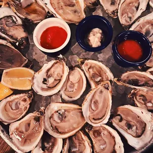 Fresh Oysters