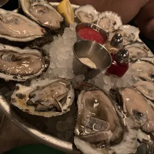 Gulf Coast Oysters