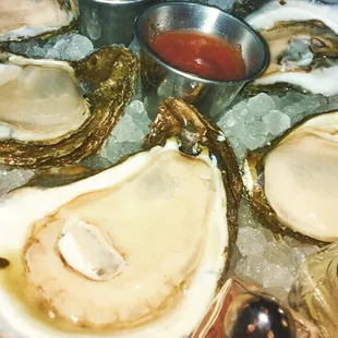 Dozen Louisiana Oysters