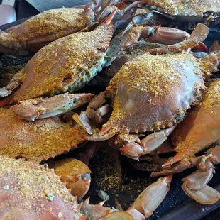 Female crabs steamed