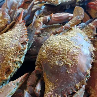 a large pile of crabs