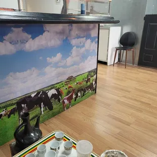 cows grazing in a field