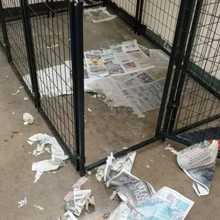 This is how you let the dog sleep at night?