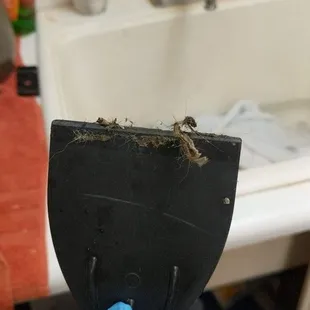 Poop left on tools from the day before.