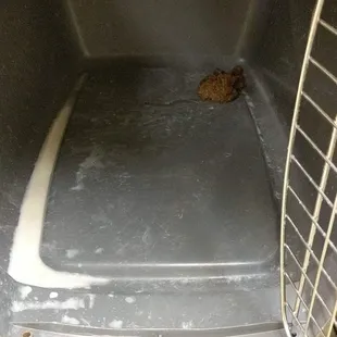 Left like this overnight.