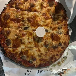 Pizza mostly survived the bagged trip home and looks great.