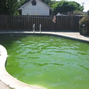 a green pool