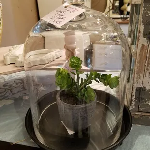 A great find!