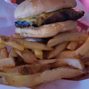 1/4lb burger + fries